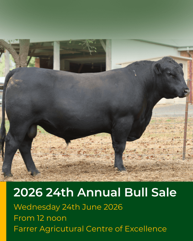Farrer 24th Annual Bull Sale Farrer 24th Annual Bull Sale