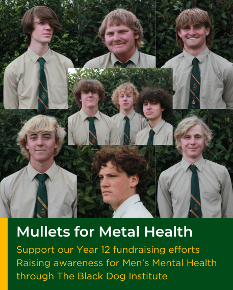 Mullets for Mental Health Mullets for Mental Health