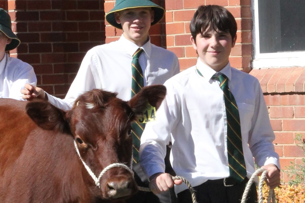 Farrer Memorial Agricultural High School - Curriculum