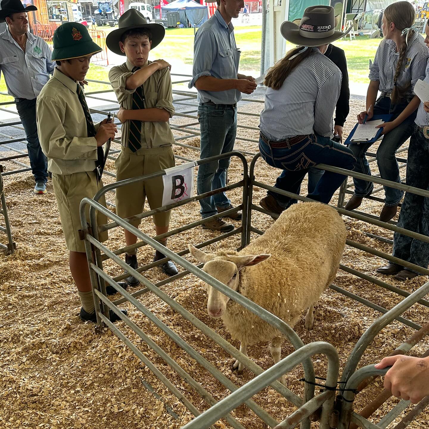 Farrer Memorial Agricultural High School - Tamworth Show Junior Judging ...