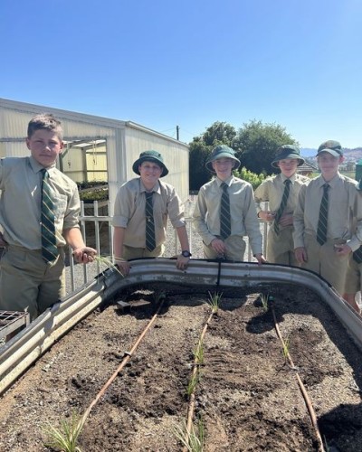 Year 7 One's Agricultural Activities