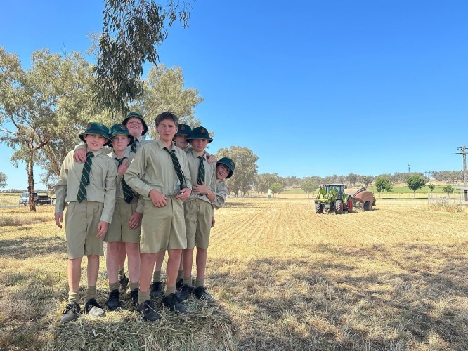 Year 7 White Baling