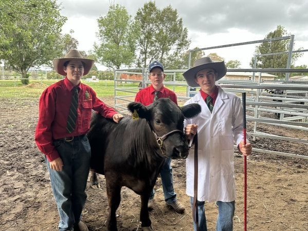 Northern Schools Prime Steer Competition