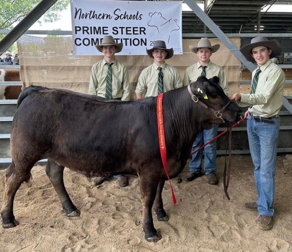 Northern Schools Steer Competition.