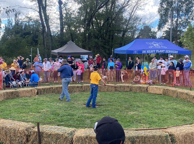 Great Nundle Dog Race