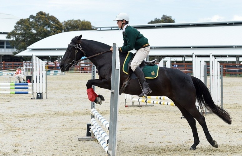 Interschools Horse Extravaganza